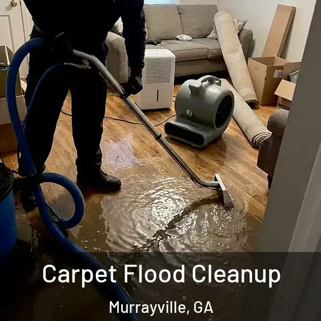  Carpet Flood Cleanup Murrayville, GA