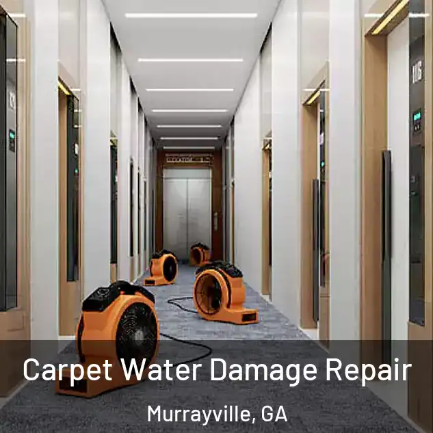  Carpet Water Damage Repair Murrayville, GA