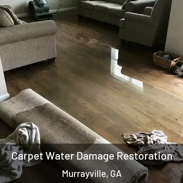  Carpet Water Damage Restoration Murrayville, GA