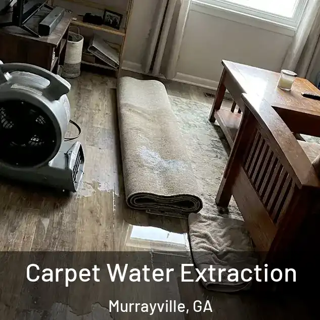  Carpet Water Extraction Murrayville, GA