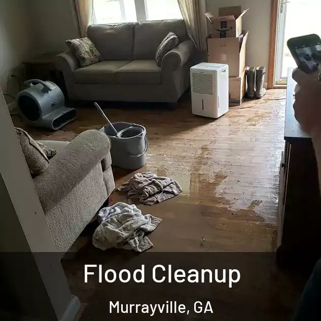  Flood Cleanup Murrayville, GA