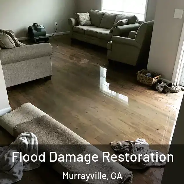  Flood Damage Restoration Murrayville, GA