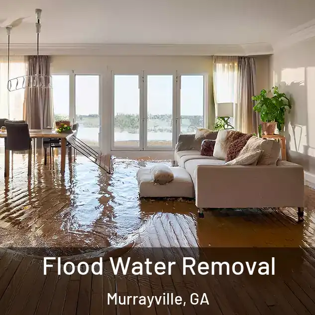  Flood Water Removal Murrayville, GA