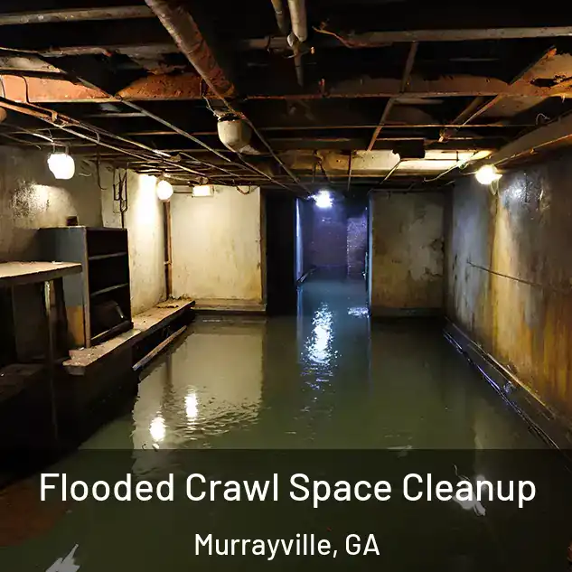  Flooded Crawl Space Cleanup Murrayville, GA