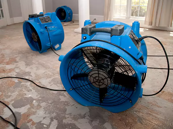 Water Damage Reconstruction in Murrayville