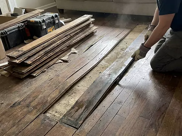 Water Damage Drying in Murrayville