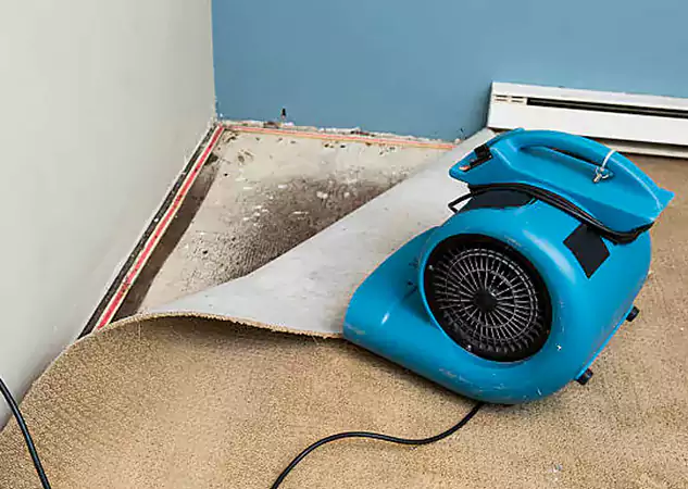Your Water Damage Experts in Murrayville, GA