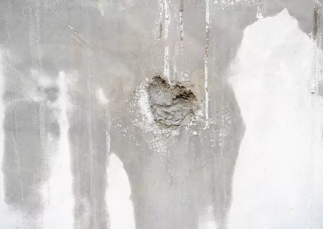 Your Mold Mitigation Solutions Partner in Murrayville, GA