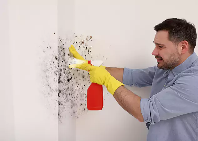 Your Water Mold Fire Restoration Partner in Murrayville, GA
