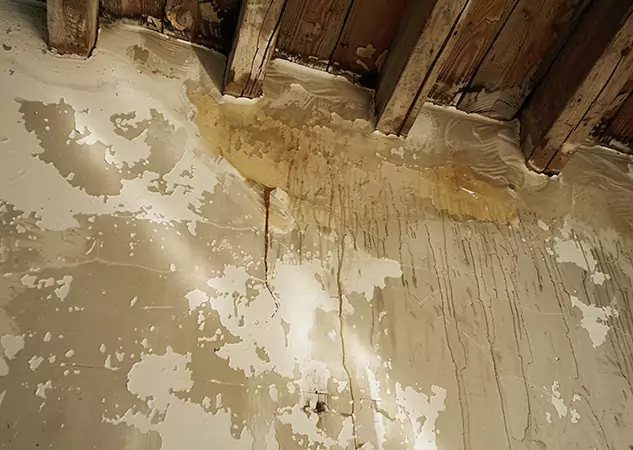 Your Trusted Restoration Company in Murrayville, GA