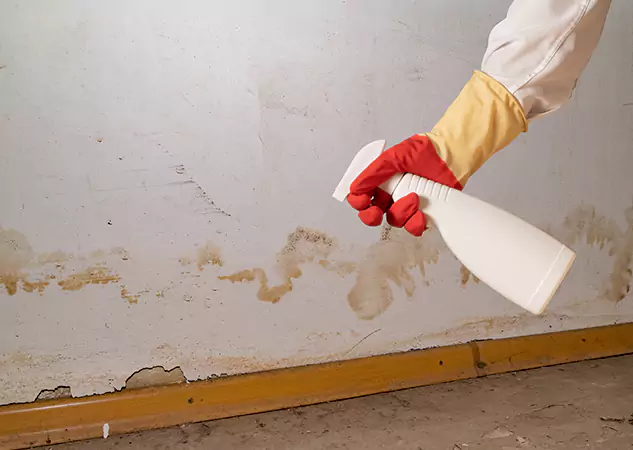 Your Water Restoration and Mold Remediation Specialists in Murrayville, GA