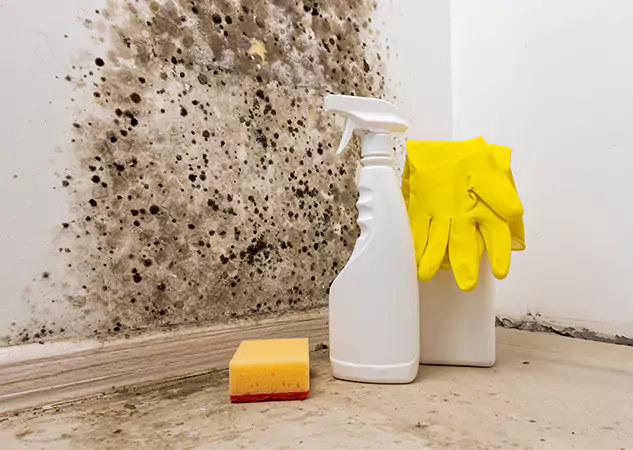 Your Reliable Restoration Company in Murrayville, GA