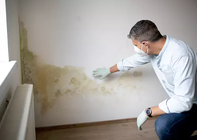 Reach Our Remediation Team Before Damage Grows in Murrayville, GA!