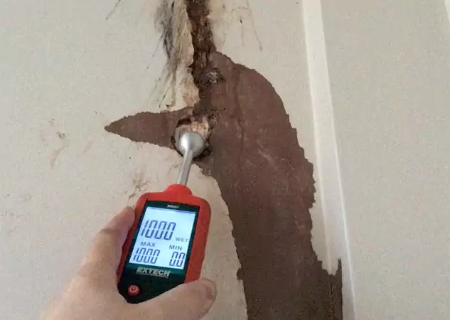 Your Water Damage Assessment Partner in Murrayville, GA