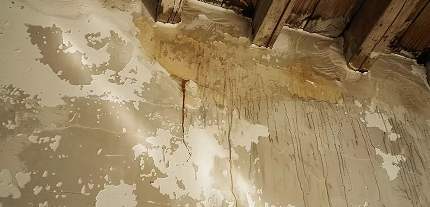 Professional Attic Water Damage Repair Services in Murrayville, GA