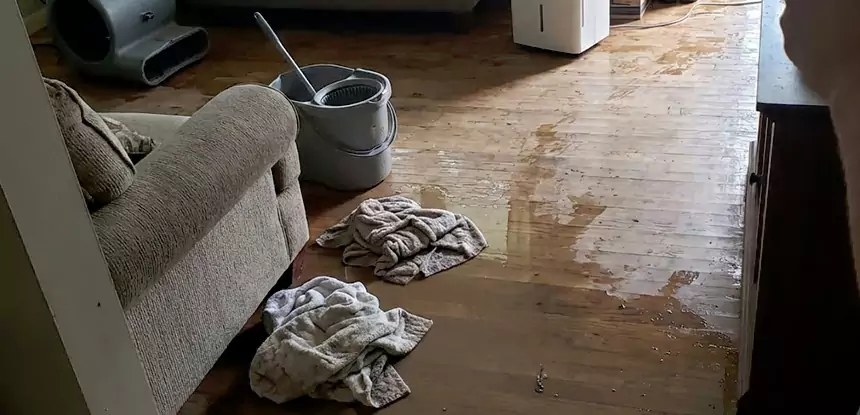 Professional Basement Water Remediation Services in Murrayville, GA