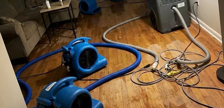 Basement Flood Restoration Services in Murrayville