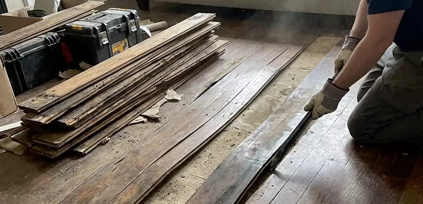 Wood Rot and Fungus Repair in Murrayville