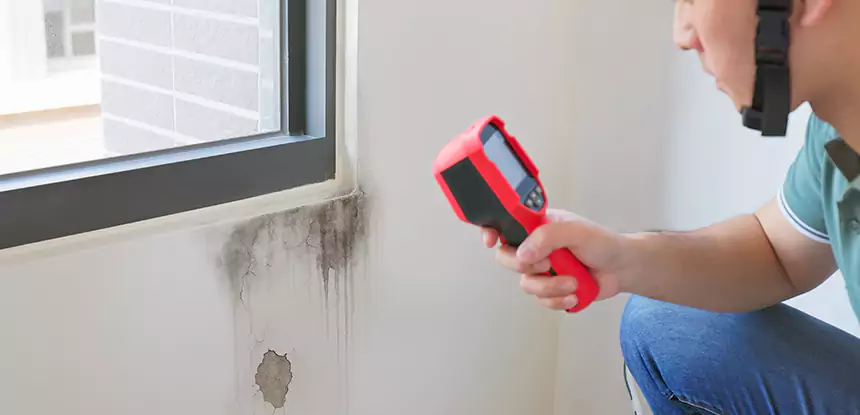 Wall Texture Repair After Mold in Murrayville