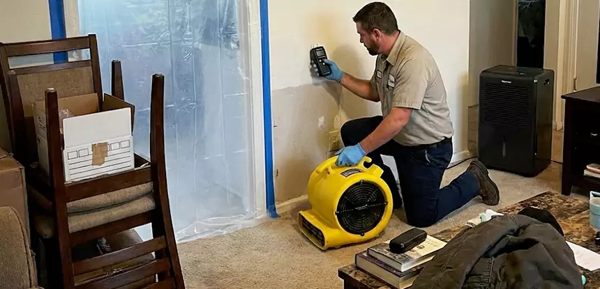 Carpet Water Damage Repair Murrayville