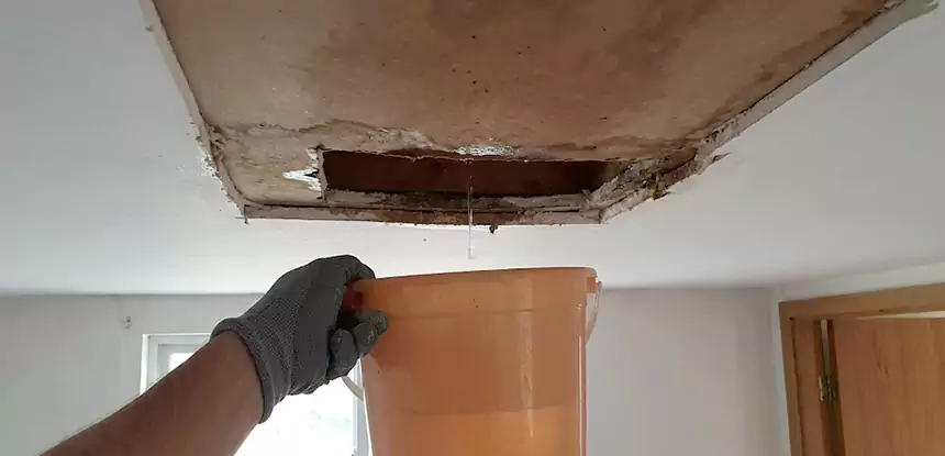 Ceiling Mold Repair Murrayville 
