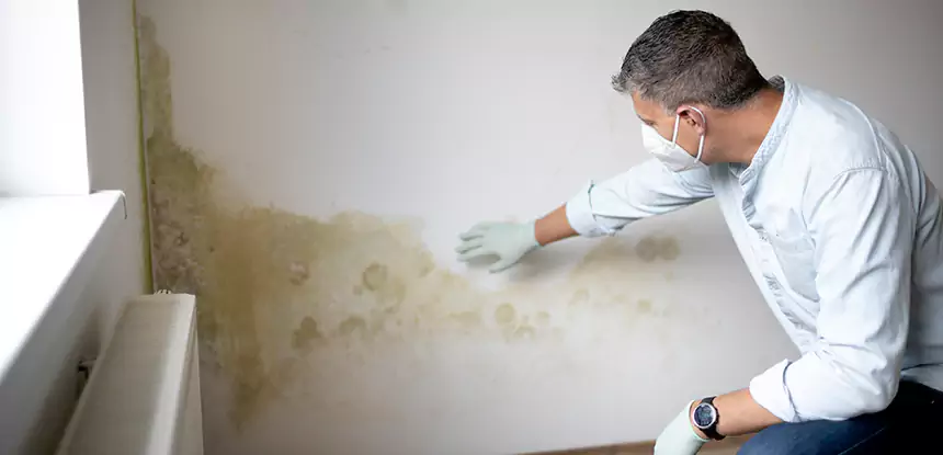 Mold and Water Damage Repair in Murrayville