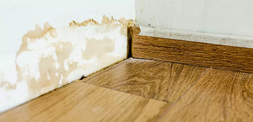 Professional Fix Water Damaged Wood Services in Murrayville, GA