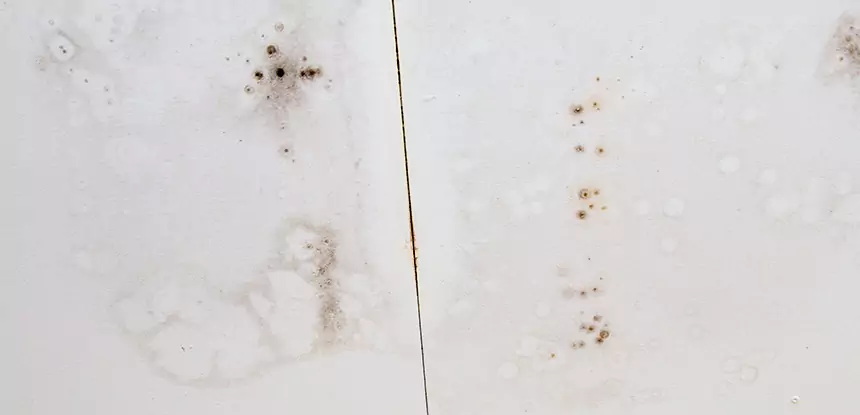 Professional Water Stain Repair Services in Murrayville, GA