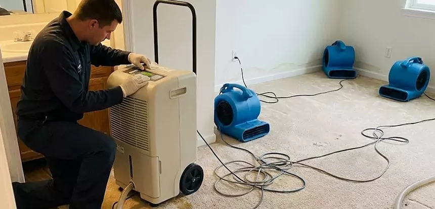 Professional Wet Carpet Removal Services in Murrayville, GA