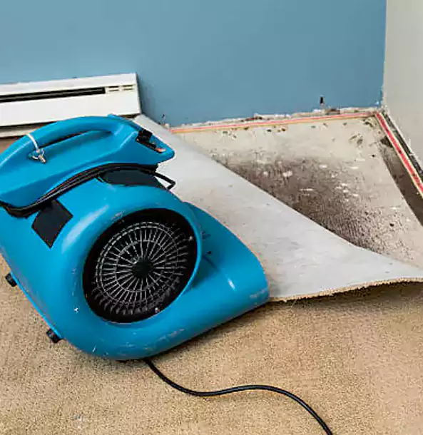 Why Murrayville Trusts Murrayville Restoration Pro for Carpet Flood Recovery?