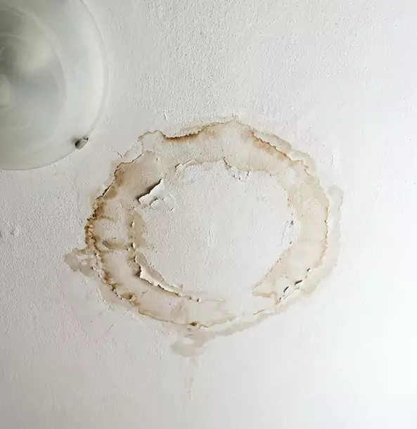 Why Murrayville Property Owners Choose Murrayville Restoration Pro for Ceiling Water Damage Restoration?