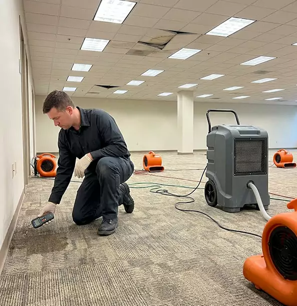 Why Murrayville Businesses Choose Murrayville Restoration Pro for Water Cleanup?