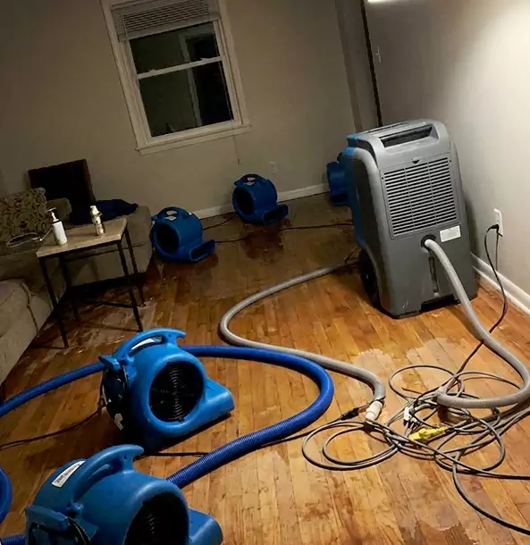 Why Murrayville Calls Murrayville Restoration Pro First for Emergency Restoration?