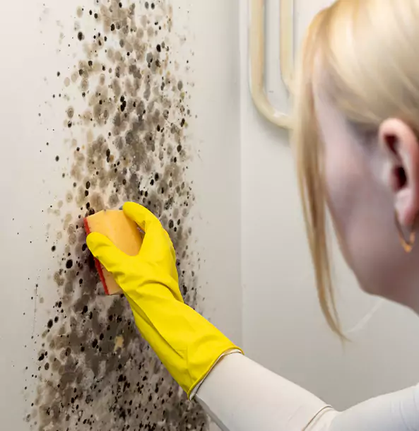 Why Murrayville Restoration Pro Leads Mold Remediation in Murrayville?