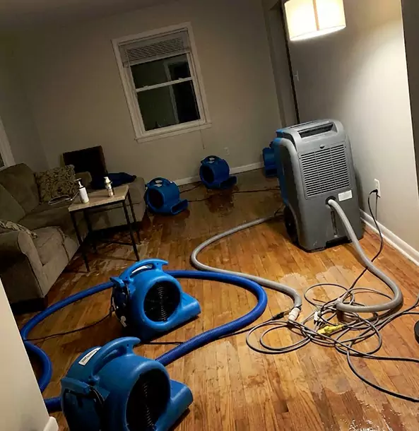 Why Murrayville Property Owners Rely on Murrayville Restoration Pro for Remediation?