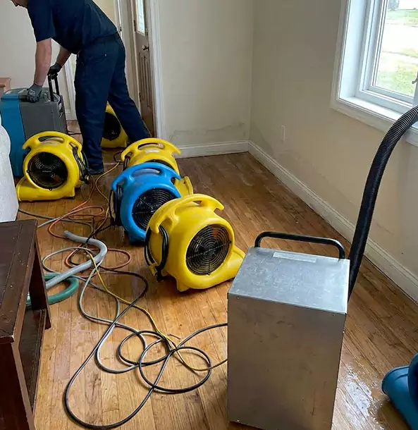 Why Murrayville Property Owners Choose Murrayville Restoration Pro for Remediation?