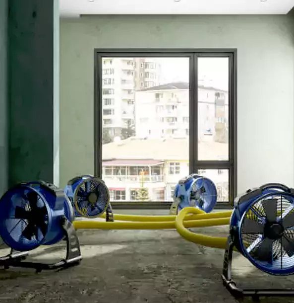 Why Murrayville Property Owners Trust Murrayville Restoration Pro for Water Damage Drying?