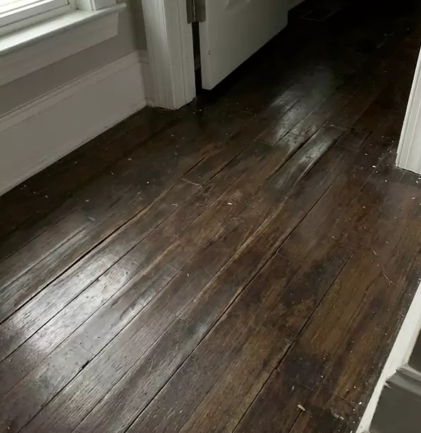 Why Murrayville Homeowners Trust Murrayville Restoration Pro to Fix Water Damaged Wood?