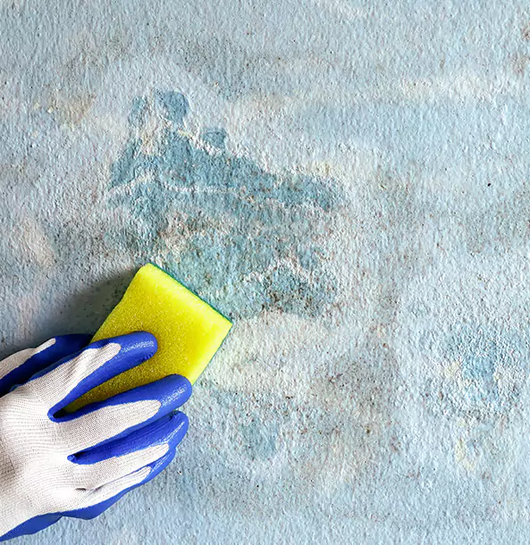 Why Murrayville Restoration Pro Is the Right Choice in Murrayville, GA?