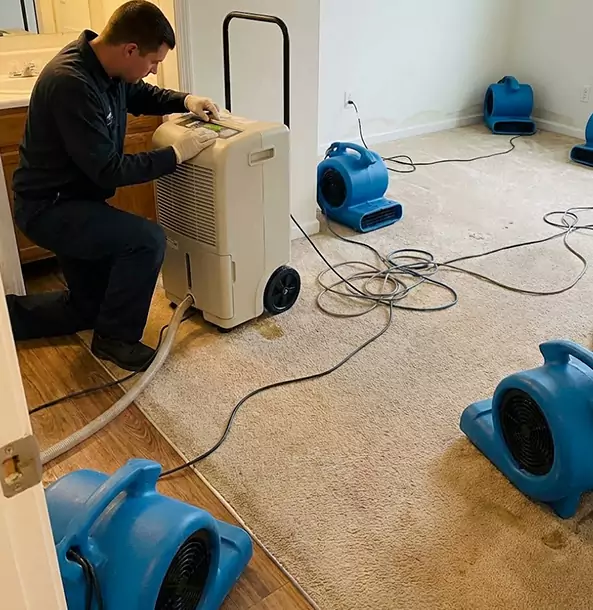 Why Murrayville Homeowners and Businesses Trust Murrayville Restoration Pro for Carpet Drying?