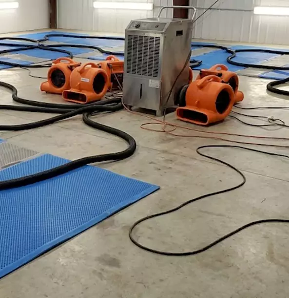 Why Murrayville Homeowners and Businesses Choose Murrayville Restoration Pro for Wet Carpet Removal?