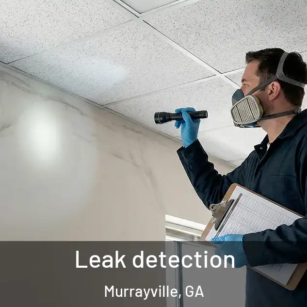 Leak detection Murrayville, GA