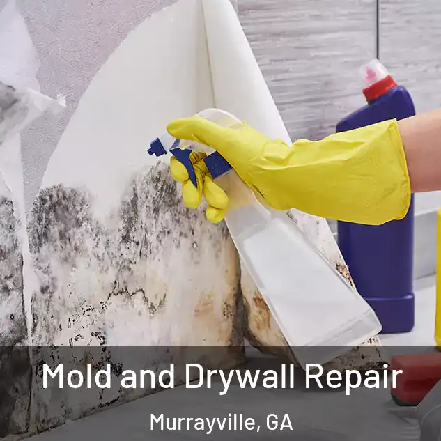  Mold and Drywall Repair Murrayville, GA