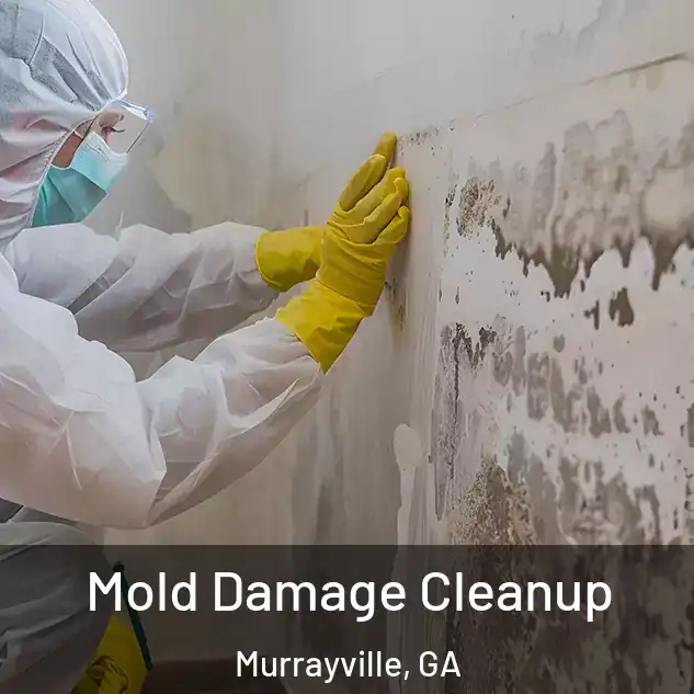  Mold Damage Cleanup Murrayville, GA