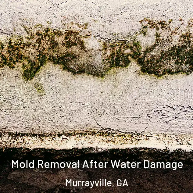  Mold Removal After Water Damage Murrayville, GA