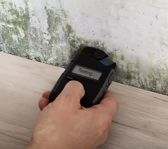 Mold Remediation Service Murrayville