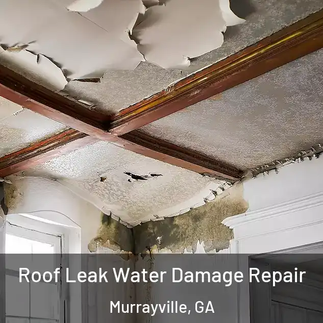  Roof Leak Water Damage Repair Murrayville, GA