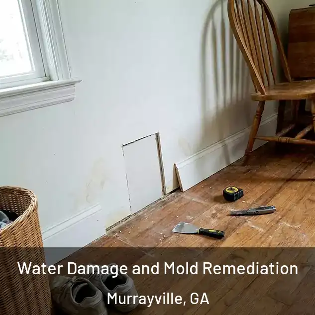  Water Damage and Mold Remediation Murrayville, GA