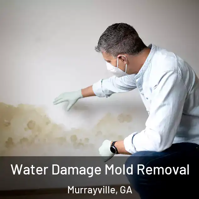  Water Damage Mold Removal Murrayville, GA