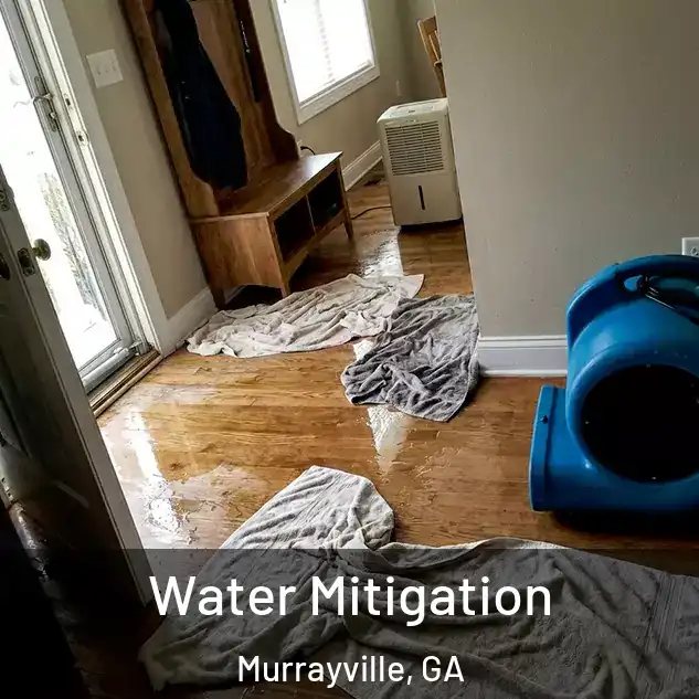  Water Mitigation Murrayville, GA